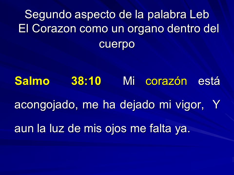 Segundo aspecto de la palabra Leb El Corazon como un organo dentro del cuerpo