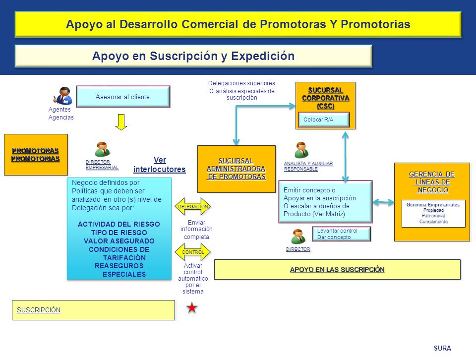 Apoyo al Desarrollo Comercial de Promotoras Y Promotorias
