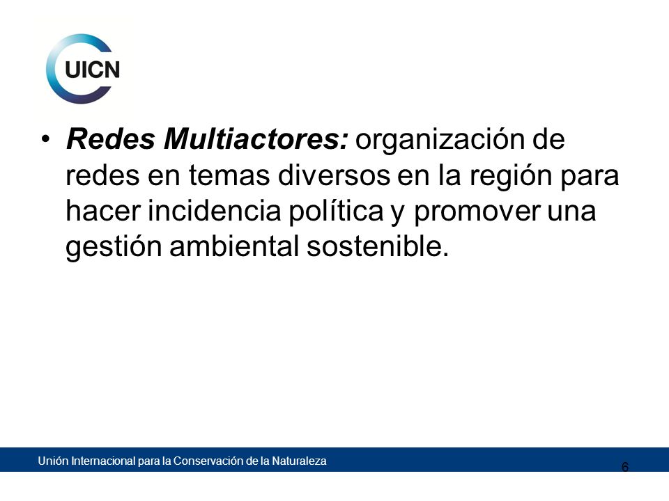 Redes Multiactores: organización de redes en temas diversos en la región para hacer incidencia política y promover una gestión ambiental sostenible.