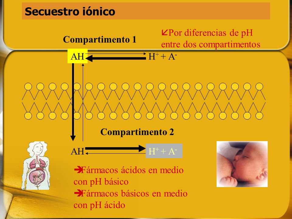 Secuestro iónico Por diferencias de pH entre dos compartimentos AH