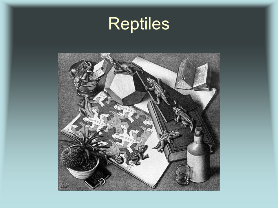 Reptiles