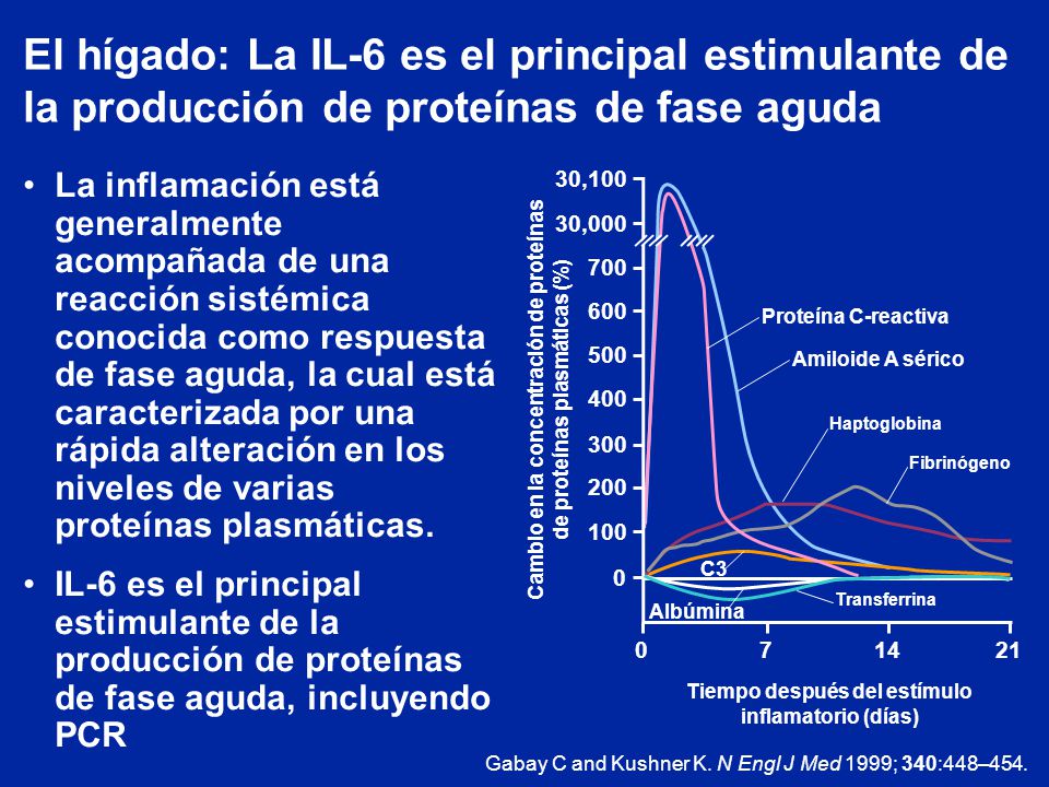 El hígado: La IL-6 es el principal estimulante de la producción de proteínas de fase aguda
