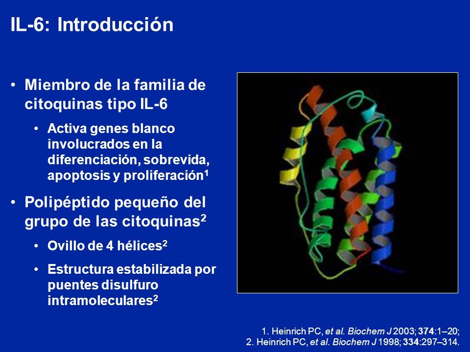 IL-6: Introducción Miembro de la familia de citoquinas tipo IL-6