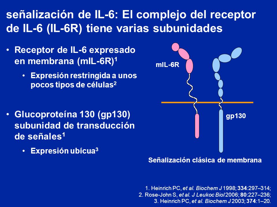 señalización de IL-6: El complejo del receptor de IL-6 (IL-6R) tiene varias subunidades