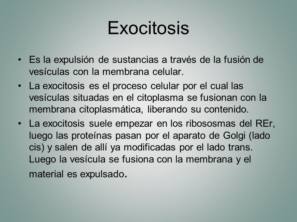 Exocitosis Es la expulsión de sustancias a través de la fusión de vesículas con la membrana celular.