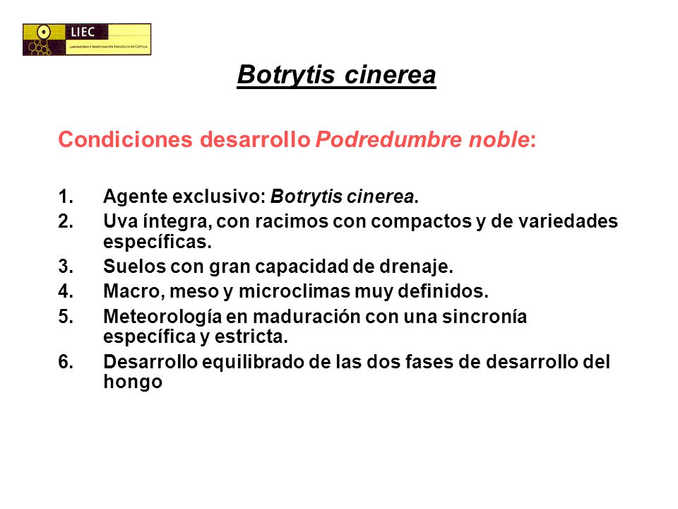 Botrytis cinerea Condiciones desarrollo Podredumbre noble: