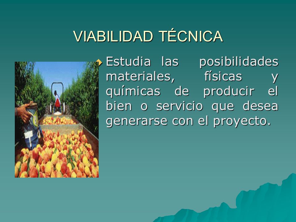 VIABILIDAD TÉCNICA Estudia las posibilidades materiales, físicas y químicas de producir el bien o servicio que desea generarse con el proyecto.