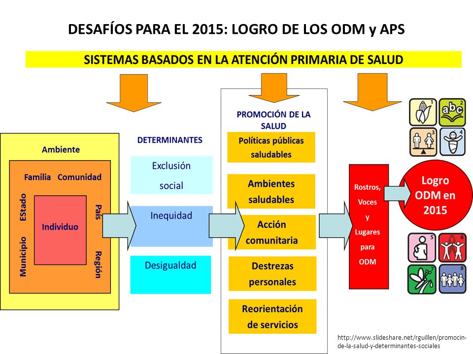 DESAFÍOS PARA EL 2015: LOGRO DE LOS ODM y APS