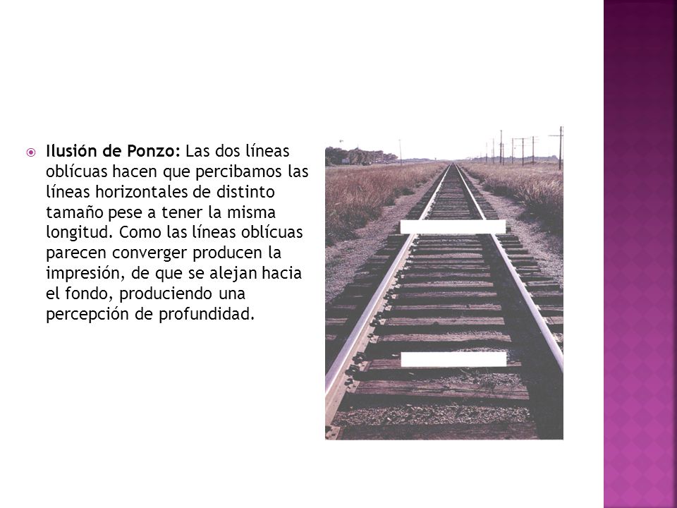 Ilusión de Ponzo: Las dos líneas oblícuas hacen que percibamos las líneas horizontales de distinto tamaño pese a tener la misma longitud.