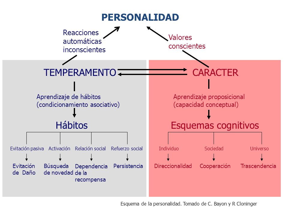 CARACTER Esquemas cognitivos TEMPERAMENTO Hábitos PERSONALIDAD