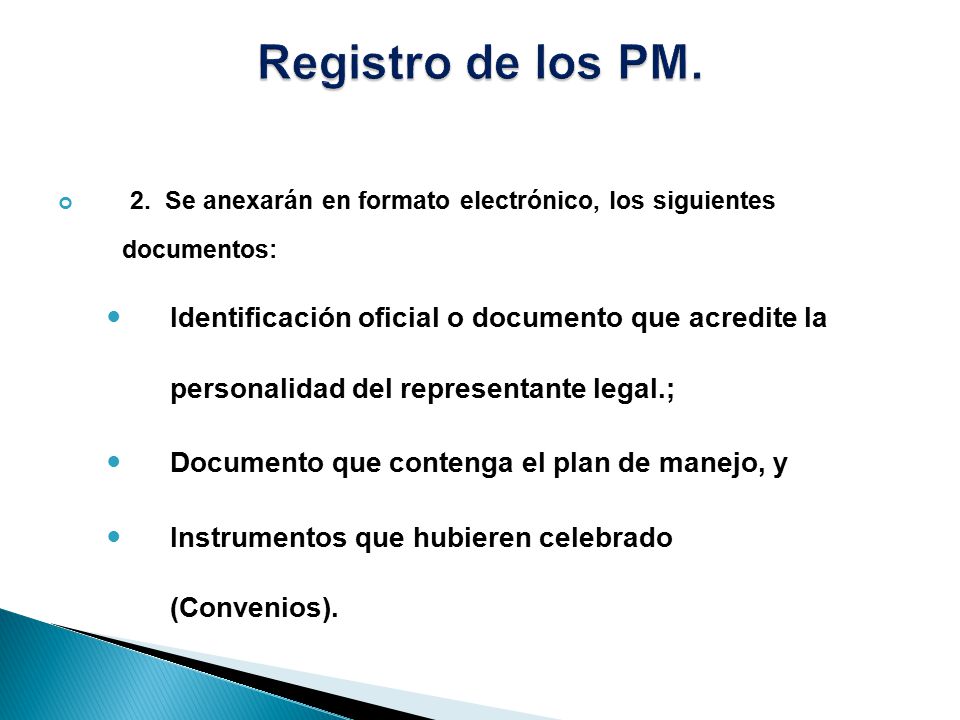 Registro de los PM. 2. Se anexarán en formato electrónico, los siguientes documentos: