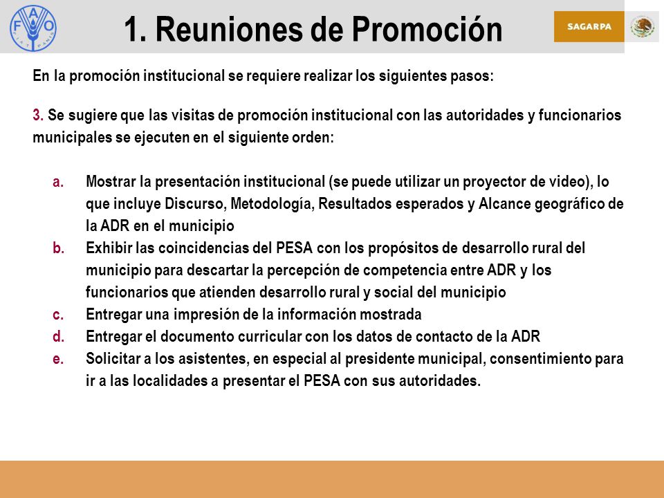 1. Reuniones de Promoción