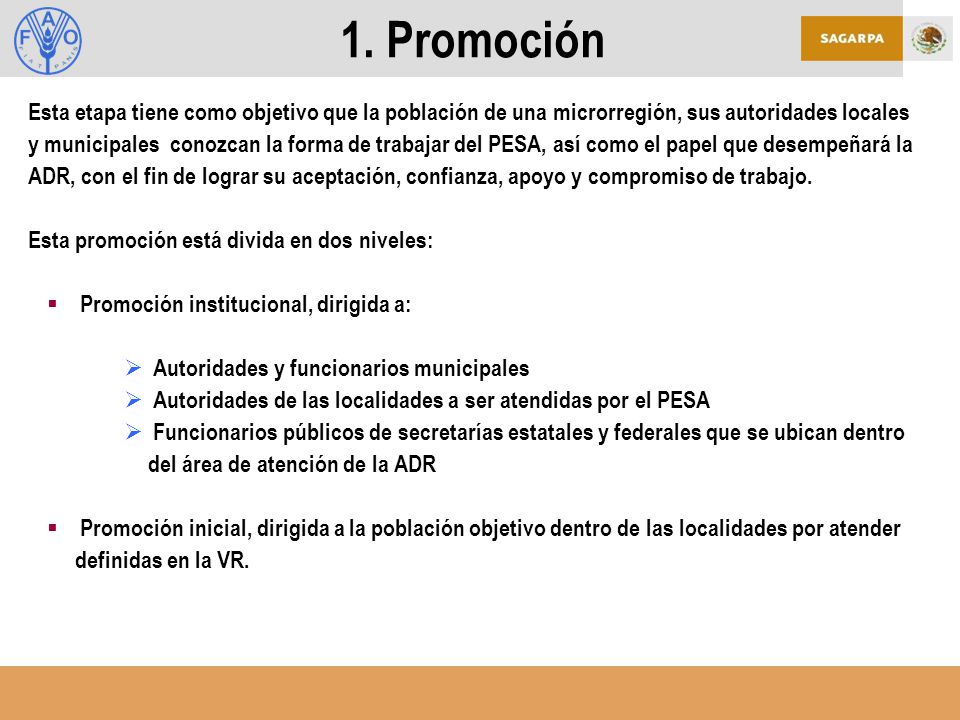 1. Promoción Esta etapa tiene como objetivo que la población de una microrregión, sus autoridades locales.