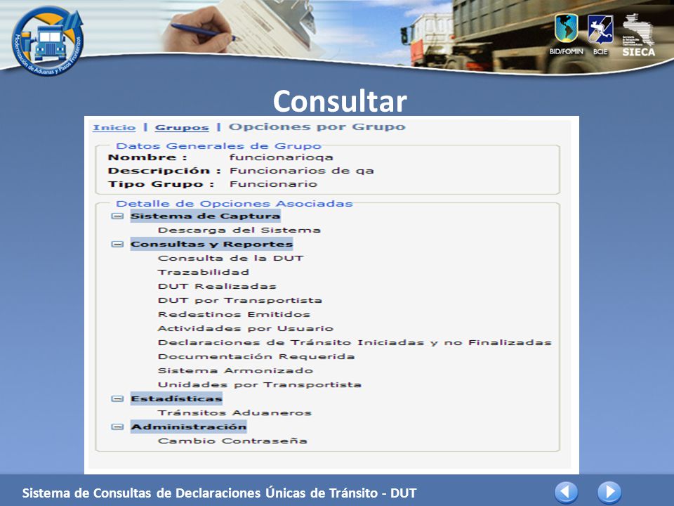 Consultar Sistema de Consultas de Declaraciones Únicas de Tránsito - DUT
