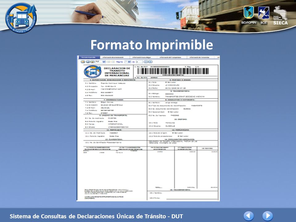 Formato Imprimible Sistema de Consultas de Declaraciones Únicas de Tránsito - DUT