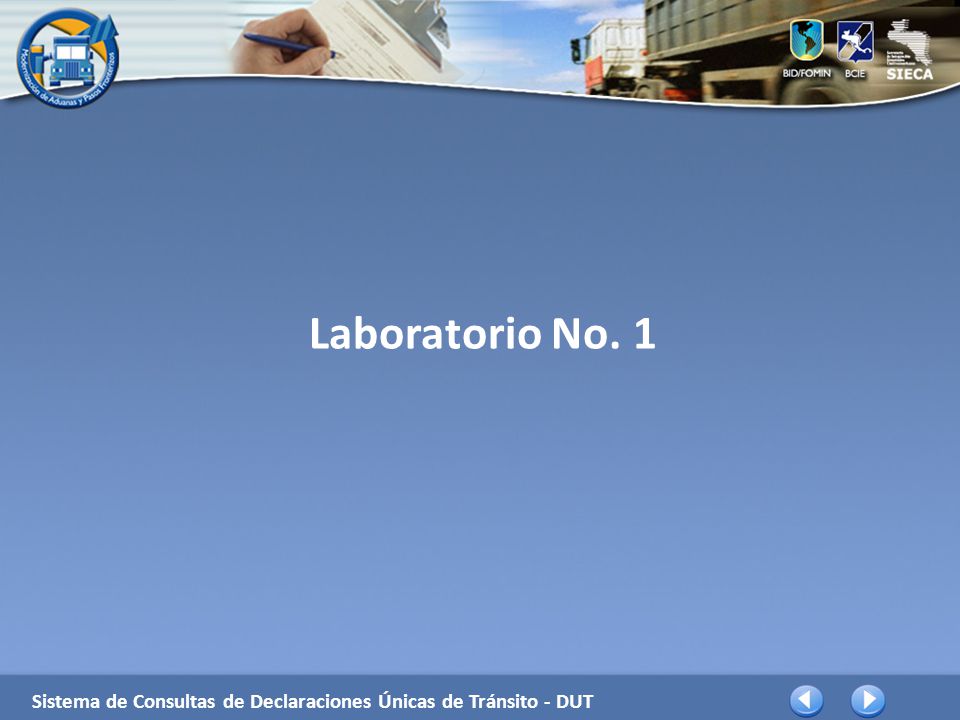 Laboratorio No. 1 Sistema de Consultas de Declaraciones Únicas de Tránsito - DUT
