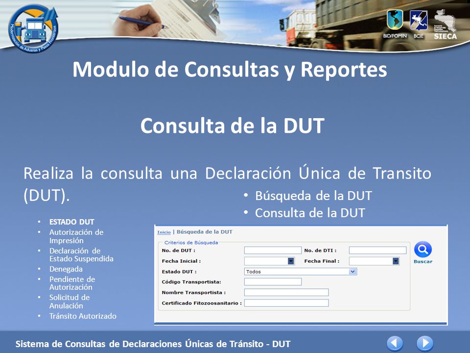 Modulo de Consultas y Reportes Consulta de la DUT