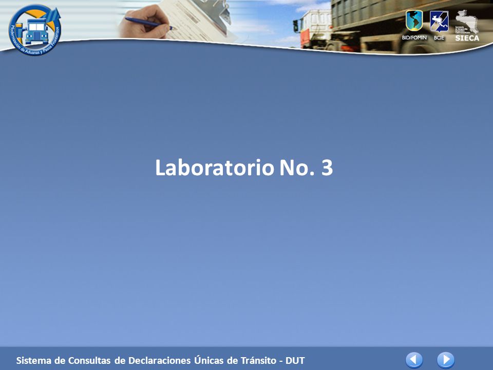 Laboratorio No. 3 Sistema de Consultas de Declaraciones Únicas de Tránsito - DUT