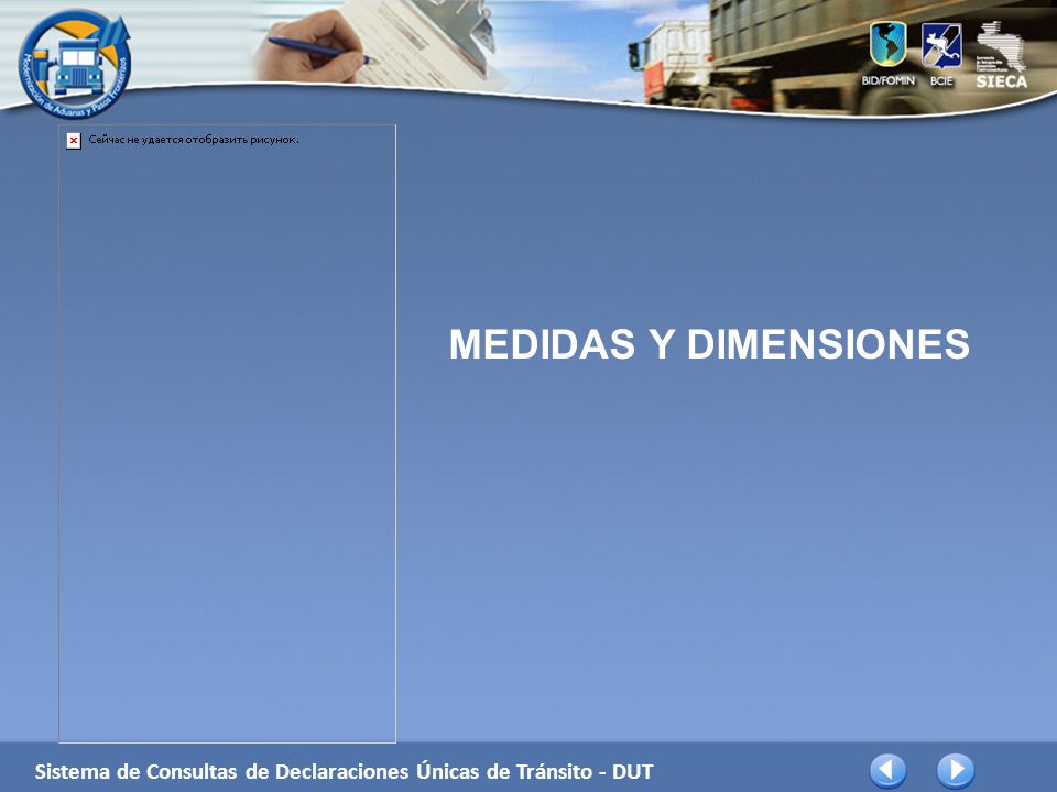 MEDIDAS Y DIMENSIONES Sistema de Consultas de Declaraciones Únicas de Tránsito - DUT