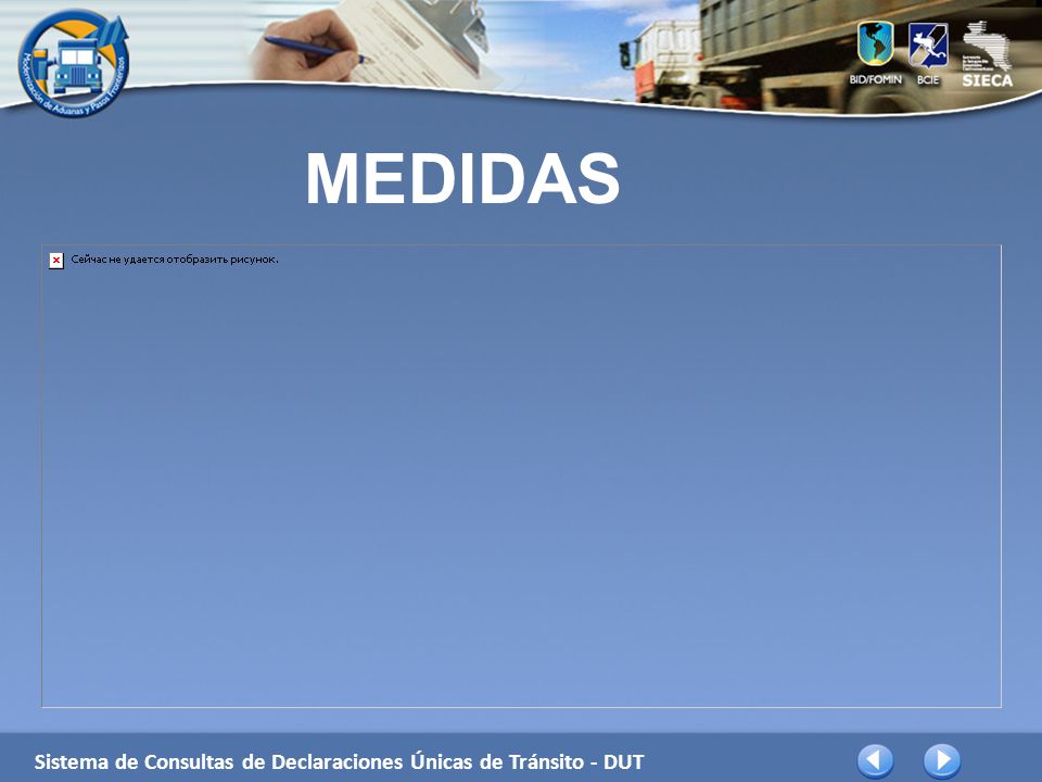 MEDIDAS Sistema de Consultas de Declaraciones Únicas de Tránsito - DUT