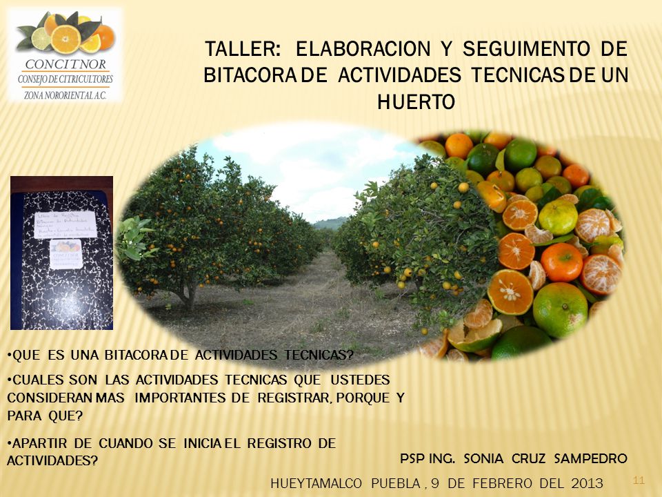 TALLER: ELABORACION Y SEGUIMENTO DE BITACORA DE ACTIVIDADES TECNICAS DE UN HUERTO