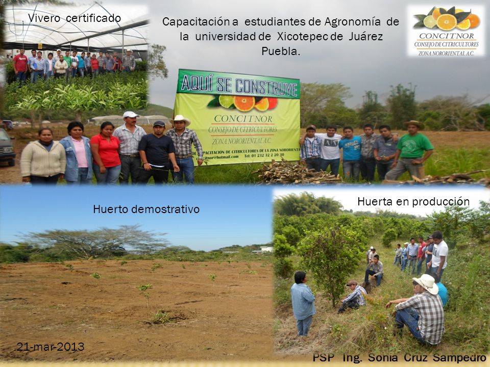 Vivero certificado Capacitación a estudiantes de Agronomía de la universidad de Xicotepec de Juárez Puebla.