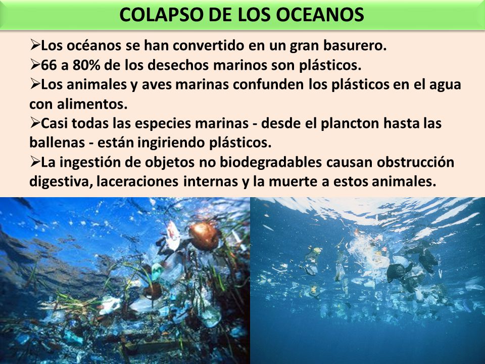 COLAPSO DE LOS OCEANOS Los océanos se han convertido en un gran basurero. 66 a 80% de los desechos marinos son plásticos.