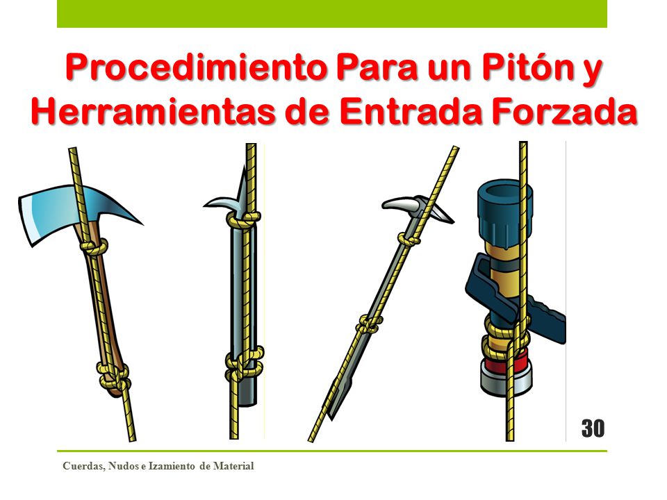Procedimiento Para un Pitón y Herramientas de Entrada Forzada