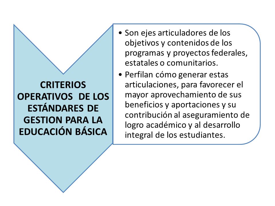 CRITERIOS OPERATIVOS DE LOS ESTÁNDARES DE GESTION PARA LA EDUCACIÓN BÁSICA