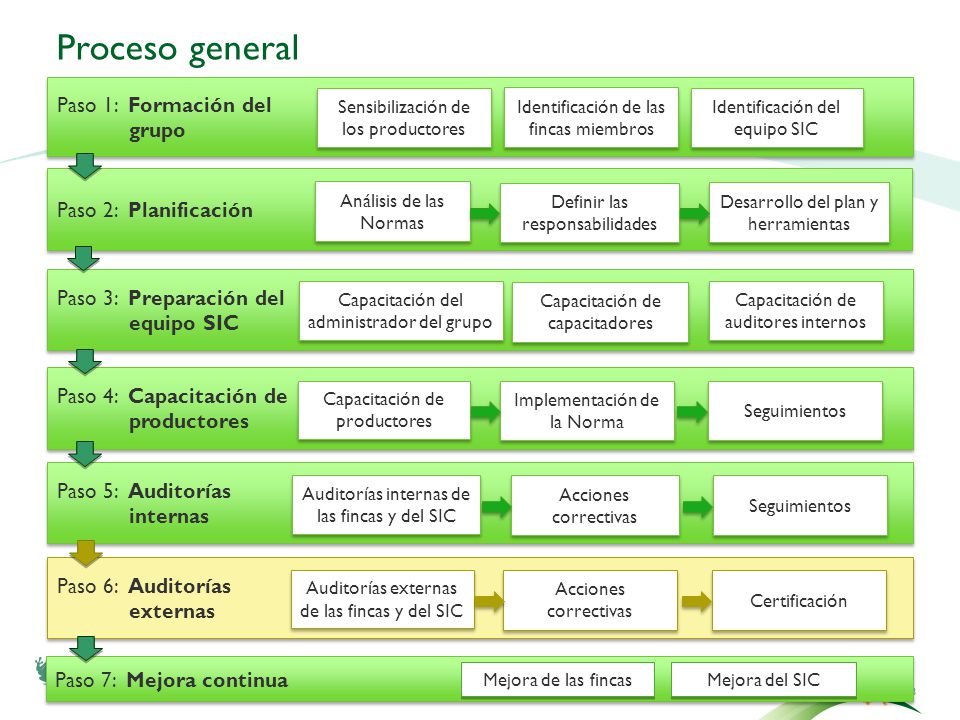 Proceso general Paso 1: Formación del grupo Paso 2: Planificación