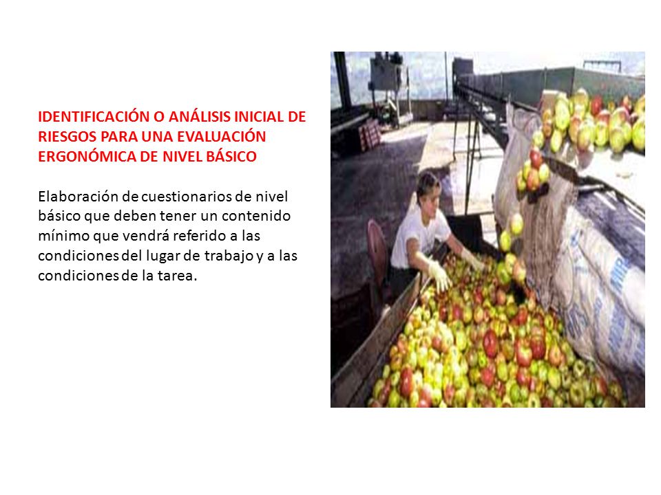 IDENTIFICACIÓN O ANÁLISIS INICIAL DE RIESGOS PARA UNA EVALUACIÓN ERGONÓMICA DE NIVEL BÁSICO