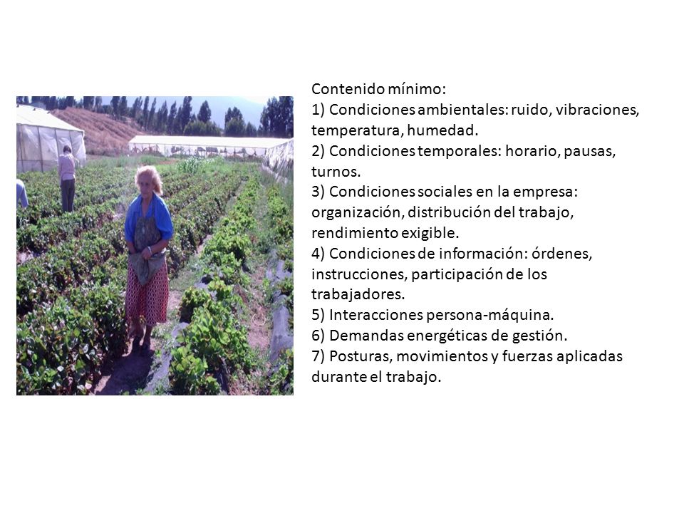 Contenido mínimo: 1) Condiciones ambientales: ruido, vibraciones, temperatura, humedad. 2) Condiciones temporales: horario, pausas, turnos.