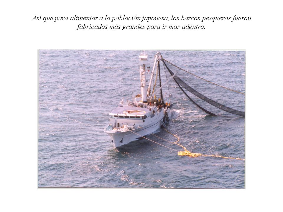 Así que para alimentar a la población japonesa, los barcos pesqueros fueron fabricados más grandes para ir mar adentro.