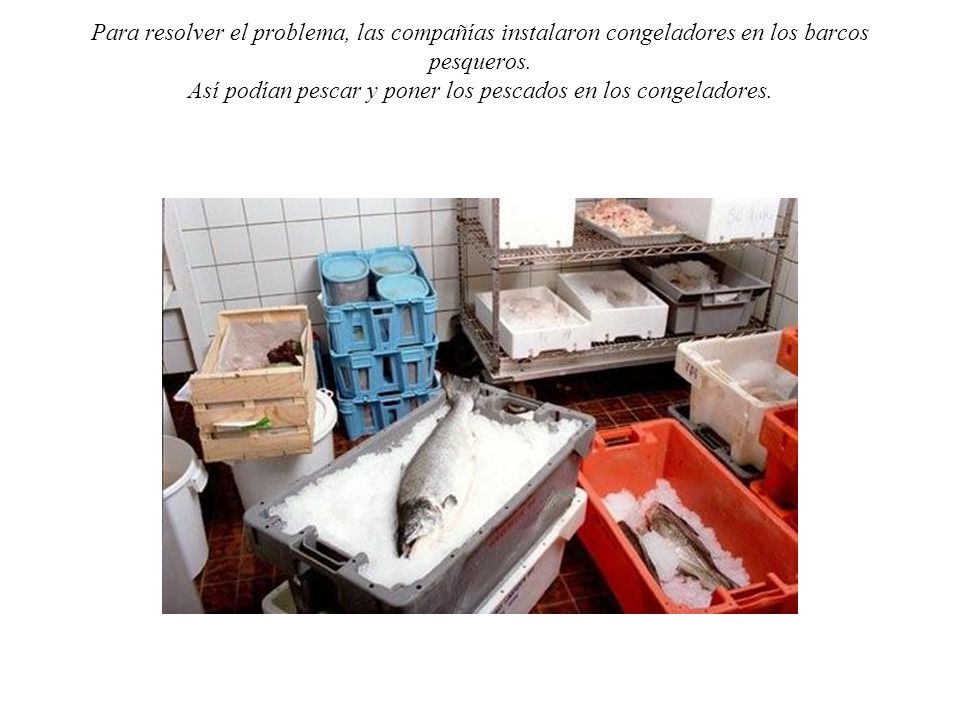 Para resolver el problema, las compañías instalaron congeladores en los barcos pesqueros.