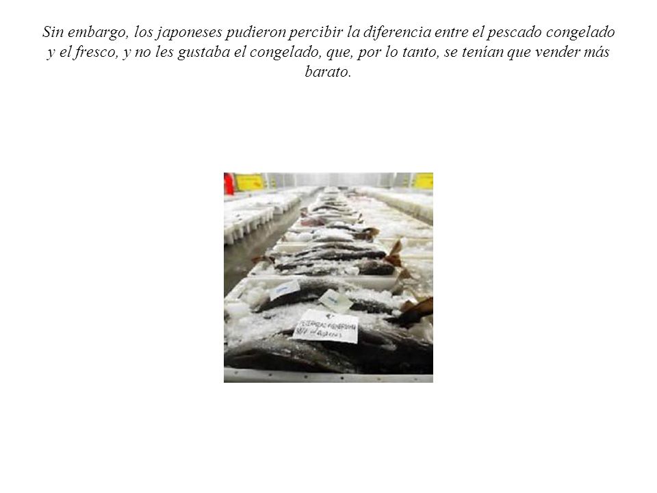 Sin embargo, los japoneses pudieron percibir la diferencia entre el pescado congelado y el fresco, y no les gustaba el congelado, que, por lo tanto, se tenían que vender más barato.