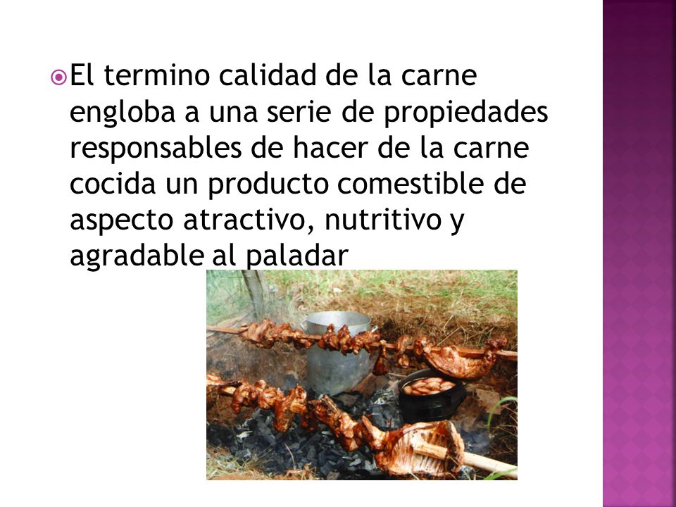 El termino calidad de la carne engloba a una serie de propiedades responsables de hacer de la carne cocida un producto comestible de aspecto atractivo, nutritivo y agradable al paladar