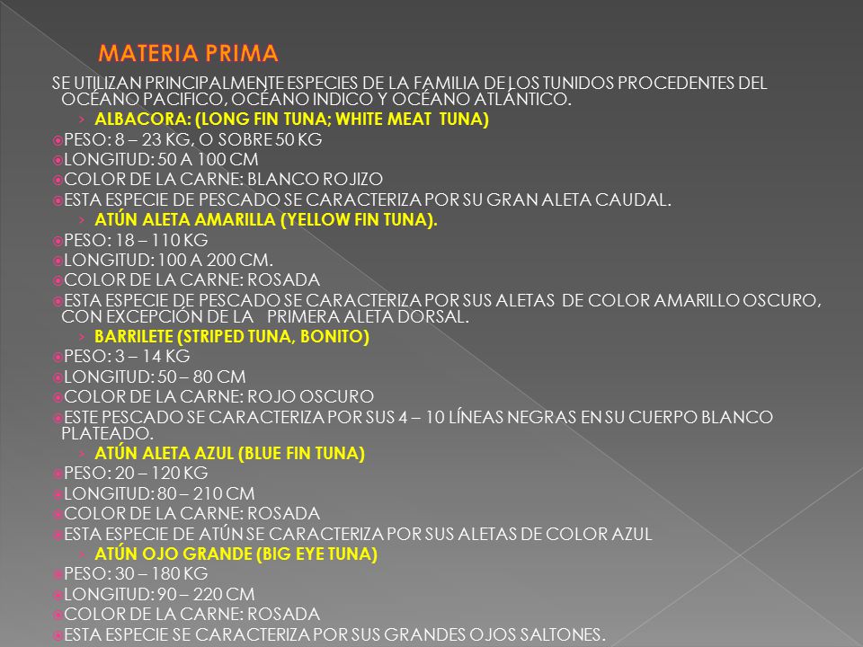 MATERIA PRIMA SE UTILIZAN PRINCIPALMENTE ESPECIES DE LA FAMILIA DE LOS TUNIDOS PROCEDENTES DEL OCÉANO PACIFICO, OCÉANO INDICO Y OCÉANO ATLÁNTICO.