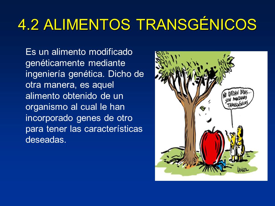 4.2 ALIMENTOS TRANSGÉNICOS