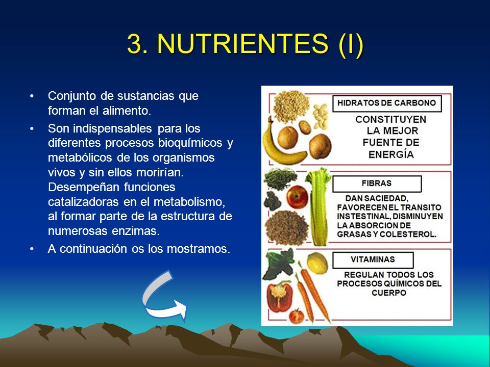 3. NUTRIENTES (I) Conjunto de sustancias que forman el alimento.
