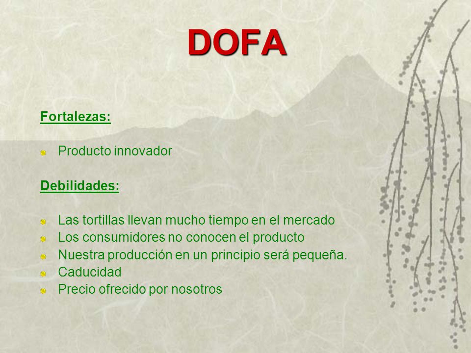 DOFA Fortalezas: Producto innovador Debilidades: