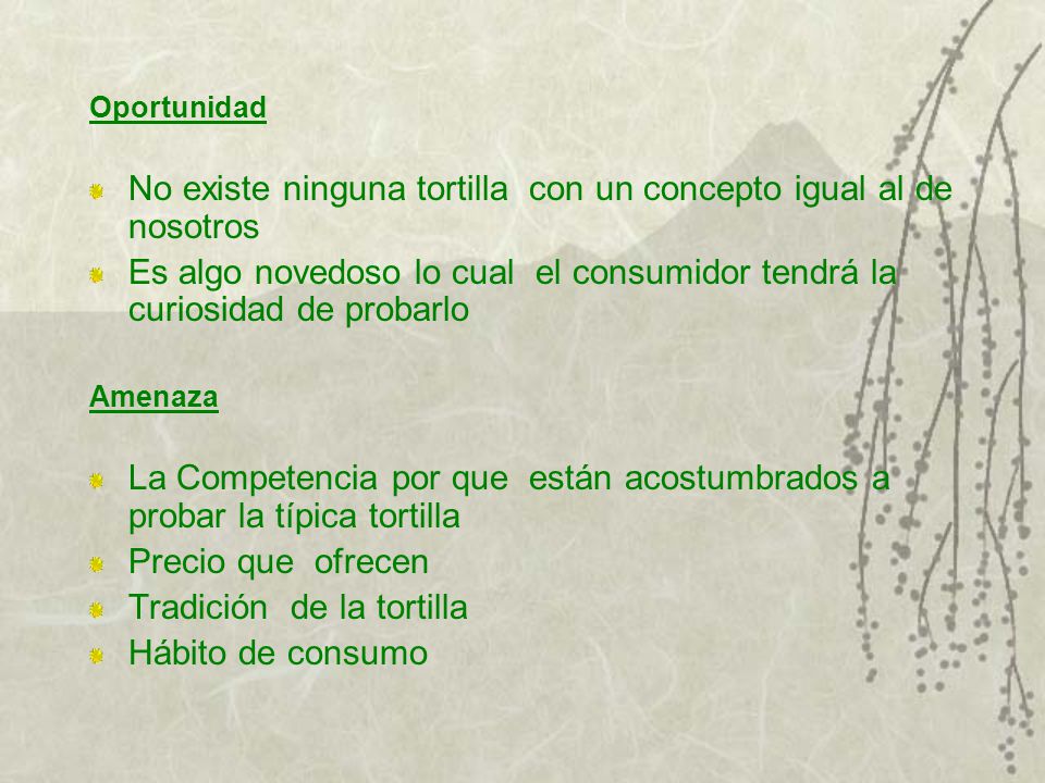 No existe ninguna tortilla con un concepto igual al de nosotros