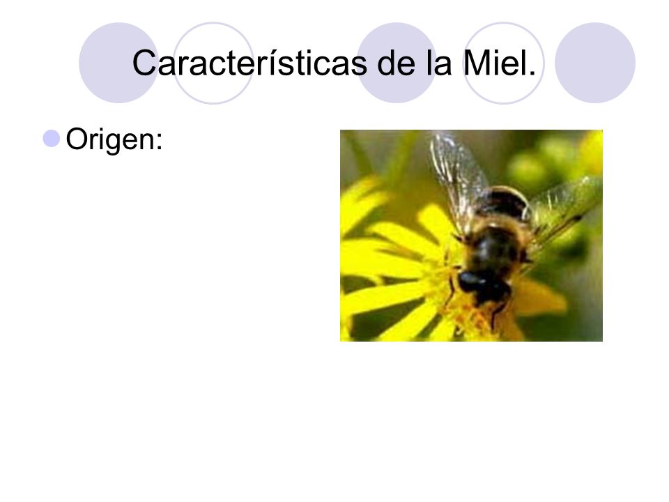 Características de la Miel.