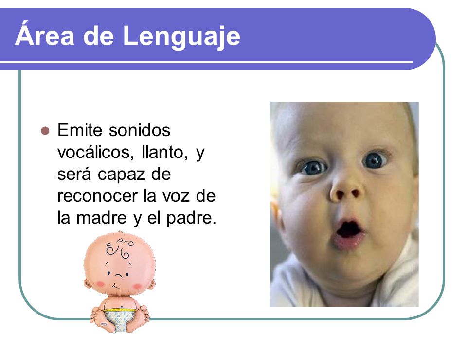 Área de Lenguaje Emite sonidos vocálicos, llanto, y será capaz de reconocer la voz de la madre y el padre.