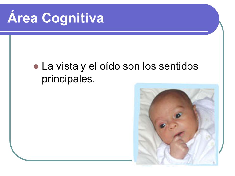 Área Cognitiva La vista y el oído son los sentidos principales.
