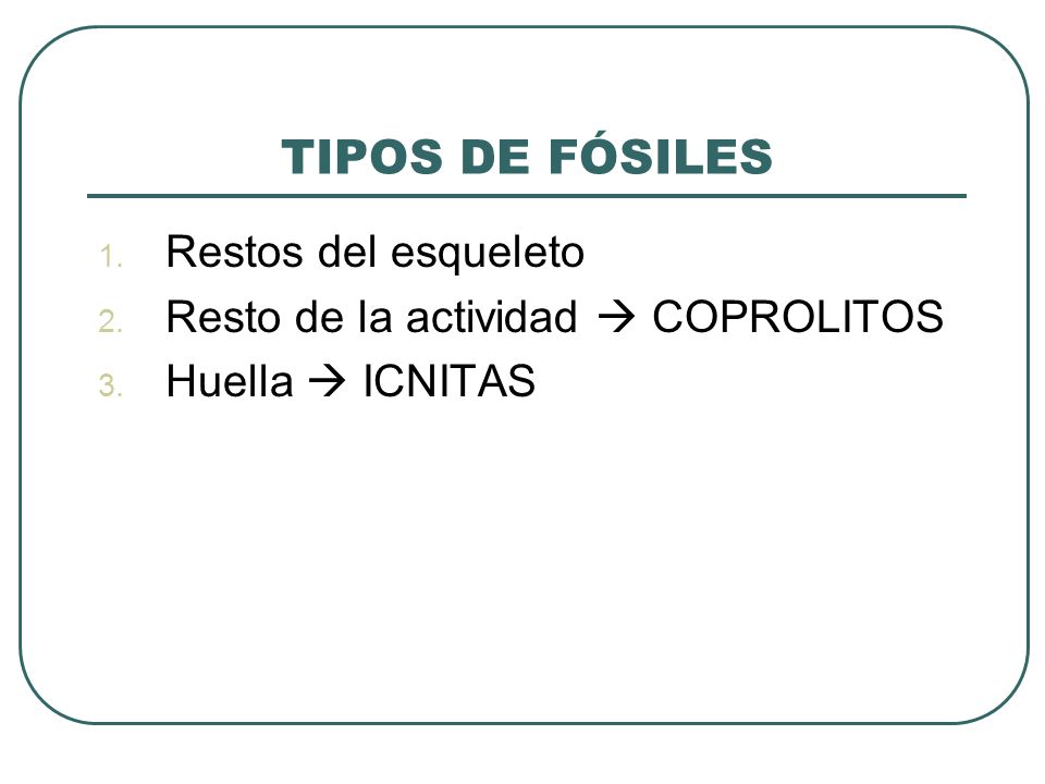 TIPOS DE FÓSILES Restos del esqueleto