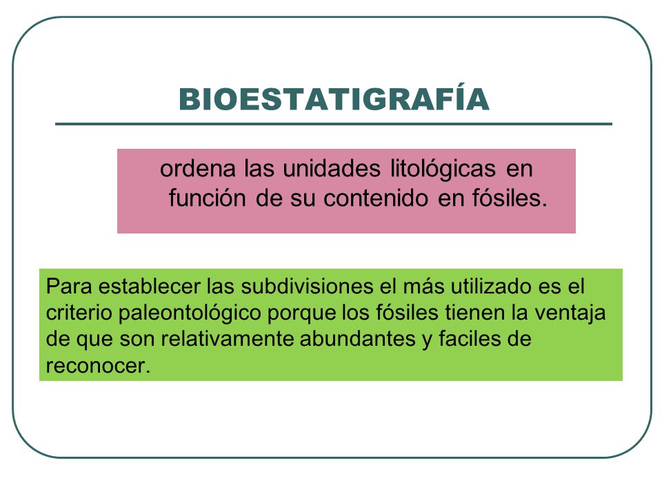 ordena las unidades litológicas en función de su contenido en fósiles.