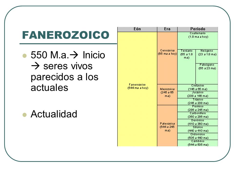 FANEROZOICO 550 M.a. Inicio  seres vivos parecidos a los actuales