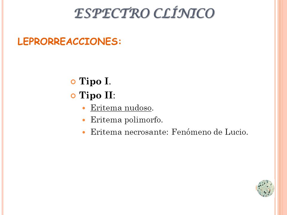 ESPECTRO CLÍNICO LEPRORREACCIONES: Tipo I. Tipo II: Eritema nudoso.
