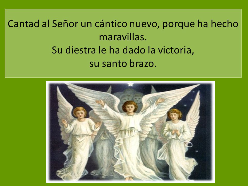 Cantad al Señor un cántico nuevo, porque ha hecho maravillas