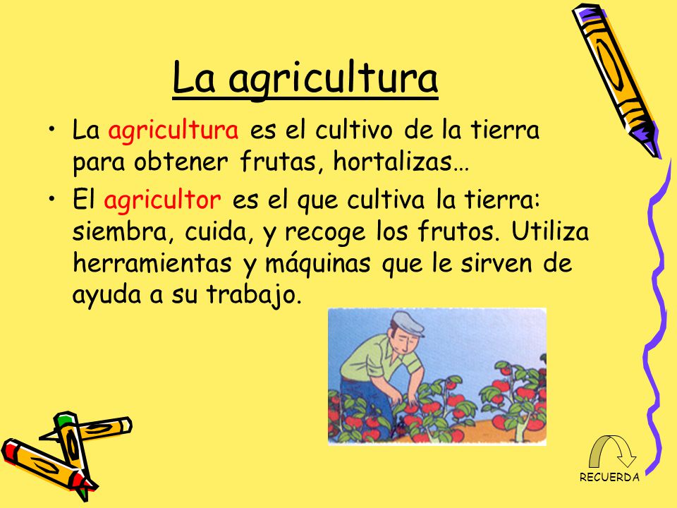 La agricultura La agricultura es el cultivo de la tierra para obtener frutas, hortalizas…